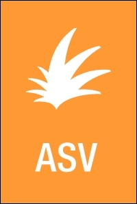 American Standard Version