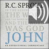 John: An Expositional Commentary (audio)
